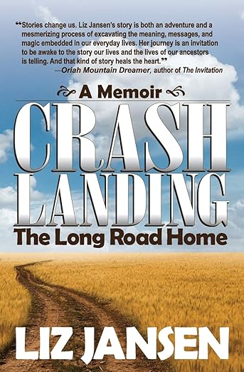 Crash Landing: The Long Road&nbsp;Home